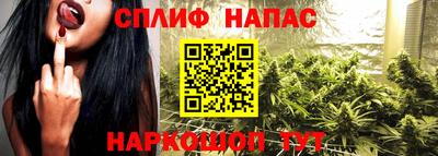 PSILOCYBIN Кандалакша