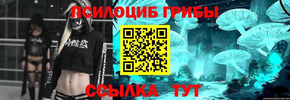 Лесной  Галлюциногенные грибы мухоморы  Галлюциногенные грибы Psilocybe  Вход с VPN 